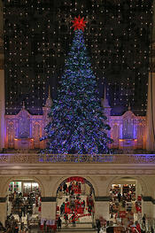 Macy’s Light Show and Organ Concert