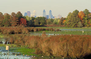 The John Heinz National Wildlife Refuge