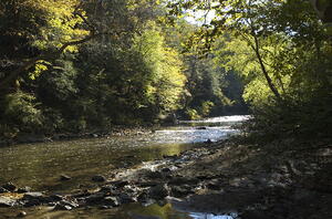 The Wissahickon Creek