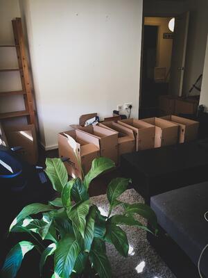 boxes-moving-1764216